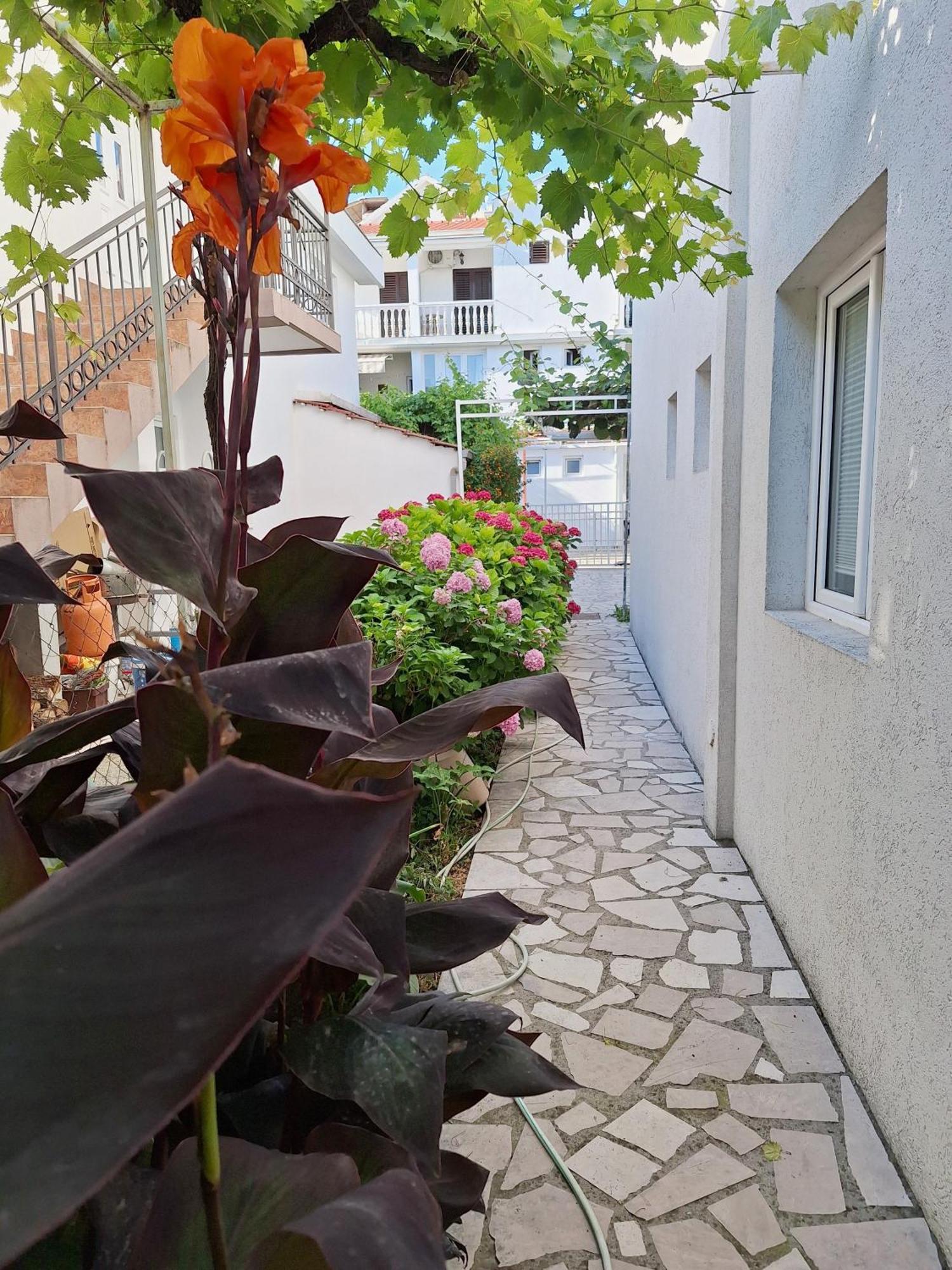 Apartmani Hortenzija Budva Exterior foto