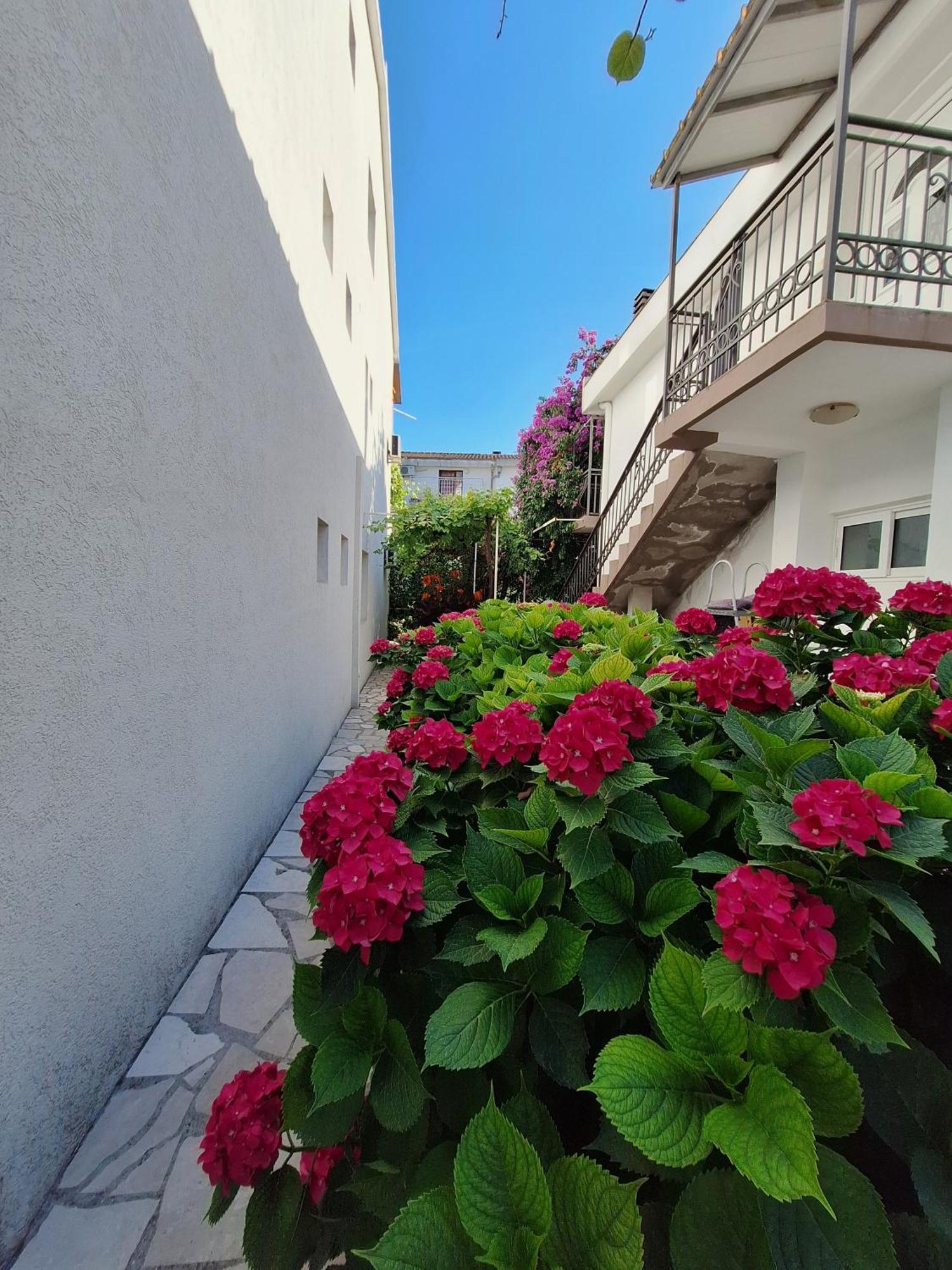 Apartmani Hortenzija Budva Exterior foto